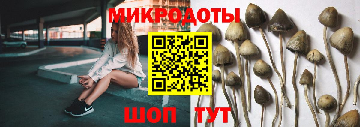 Галлюциногенные грибы мицелий  где купить наркотик  Севастополь  Вход с VPN 